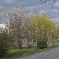 Весенний этюд :: Валентин Семчишин Весенний этюд :: Валентин Семчишин