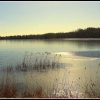 *** :: Aleksandr Gal