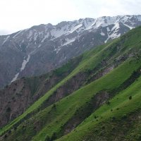 ПРОГУЛКА НА БОЛЬШОЙ ЧИМГАН 3300м. :: Виктор Осипчук