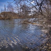 "Талая вода. Заросший берег"© :: Владимир Макаров