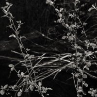 Название отсутствует :: Денис Безногов