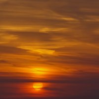 Утреннее солнце :: Сергей Швечков