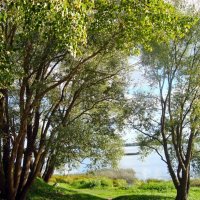 природа :: марта Камушкина