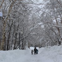 Прошел весенний циклон :: Александр Белов