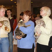 А кошки есть. Они не могут не есть. :: Николай ntv А кошки есть. Они не могут не есть. :: Николай ntv