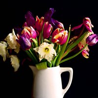 Тюльпаны и нарциссы :: Елена Куприянова Тюльпаны и нарциссы :: Елена Куприянова