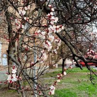 Ростовская весна :: Нина Бутко Ростовская весна :: Нина Бутко