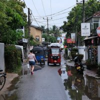 Шри-Ланка :: Dmitry i Mary S