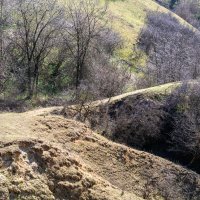 Тропинка по верху горы :: Игорь Сикорский