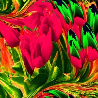 Тюльпаны-тюльпаны -2 :: Елена Куприянова 