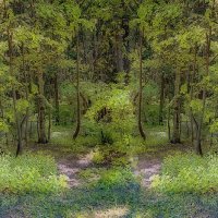 Городские джунгли :: Владимир Кроливец Городские джунгли :: Владимир Кроливец