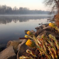 Коломенская набережная утром 29 марта :: Михаил Бибичков Коломенская набережная утром 29 марта :: Михаил Бибичков