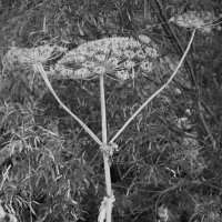 Название отсутствует :: Денис Безногов