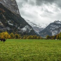 Швейцария :: Владимир Колесников