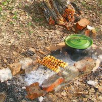 Пикник с шашлыком и ухой :: Сергей М 