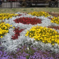 Интерьер моего города :: Елена Семигина Интерьер моего города :: Елена Семигина