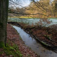 Ручей в лесопарке... :: Николай Гирш