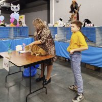 ГАГАРИНСКИЕ_КОШКИ_14 :: Сергей Янович Микк