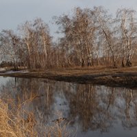Весна. :: сергей ермошкин
