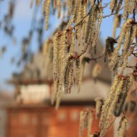 ... :: Ninell Nikitina ... :: Ninell Nikitina