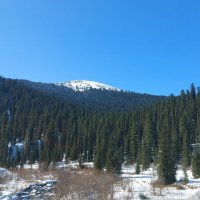 Саяны :: Сергей Швечков