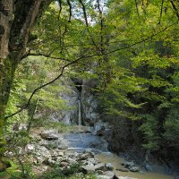 Прогулка по Агурскому ущелью. :: Евгений Седов Прогулка по Агурскому ущелью. :: Евгений Седов