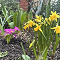 Мартовское. :: Валерия Комова