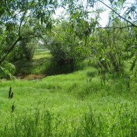 Лето :: Anna Ivanova Лето :: Anna Ivanova