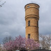 Старая башня & какая-то цветущая хрень :: Коля Лукашов Старая башня & какая-то цветущая хрень :: Коля Лукашов