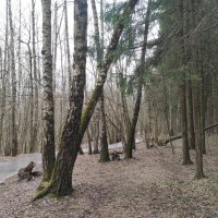 Тихое утро :: Игорь Ч.