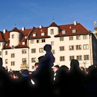 Гости карнавала - 79 :: Алексей Кузнецов