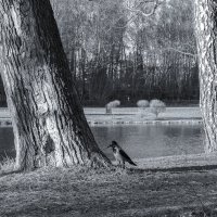 ***** :: юрий поляков ***** :: юрий поляков