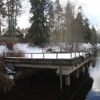 Вырица :: Наталья Герасимова