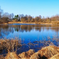 Смоленщина в апреле (репортаж из поездок по области). :: Милешкин Владимир Алексеевич 