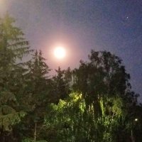 Вечером :: Светлана Хращевская Вечером :: Светлана Хращевская