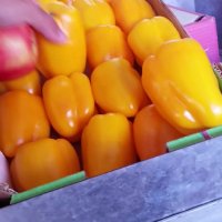 110 (129) :: СТРЕН 