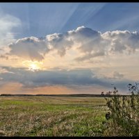 Сжатое поле :: **** vedin