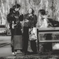 Девчушки хохотушки (чб) :: Сергей Царёв