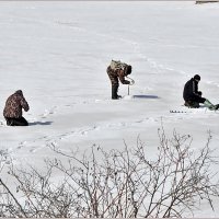 Однажды в апреле... :: Aquarius - Сергей Однажды в апреле... :: Aquarius - Сергей