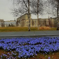 Цветочные поляны в парке "Зарядье" :: Татьяна Помогалова