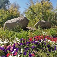 Альпинарий :: Андрей Хлопонин