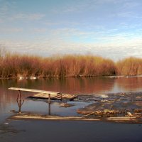Разлив Пышмы :: Любовь Сахарова