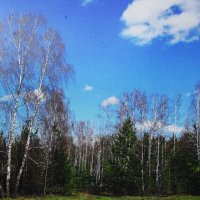 В солнечный денёк :: Людмила Смородинская