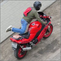 Яркая птичка :: Сеня Белгородский Яркая птичка :: Сеня Белгородский