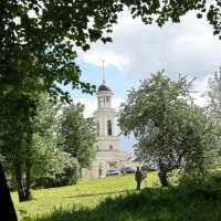 Лето, Подмосковье :: ZNatasha -