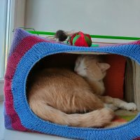 Сторож музея :-) :: Ирэн 