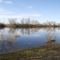 Весенние воды 2 :: Елена Пономарева Весенние воды 2 :: Елена Пономарева