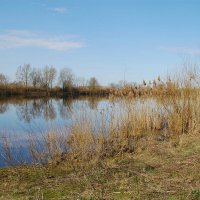 Весенние воды 4 :: Елена Пономарева