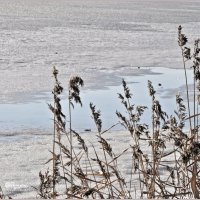 Апрель... :: Aquarius - Сергей