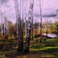 Апрельская красота :: Людмила Смородинская Апрельская красота :: Людмила Смородинская